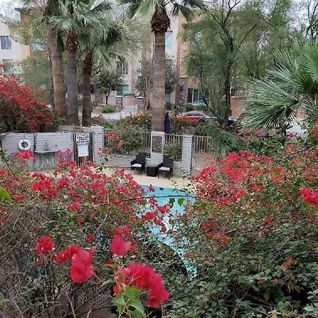 Desert Rose Villas - Private One Bedroom In Old Town Scottsdale Dış mekan fotoğraf