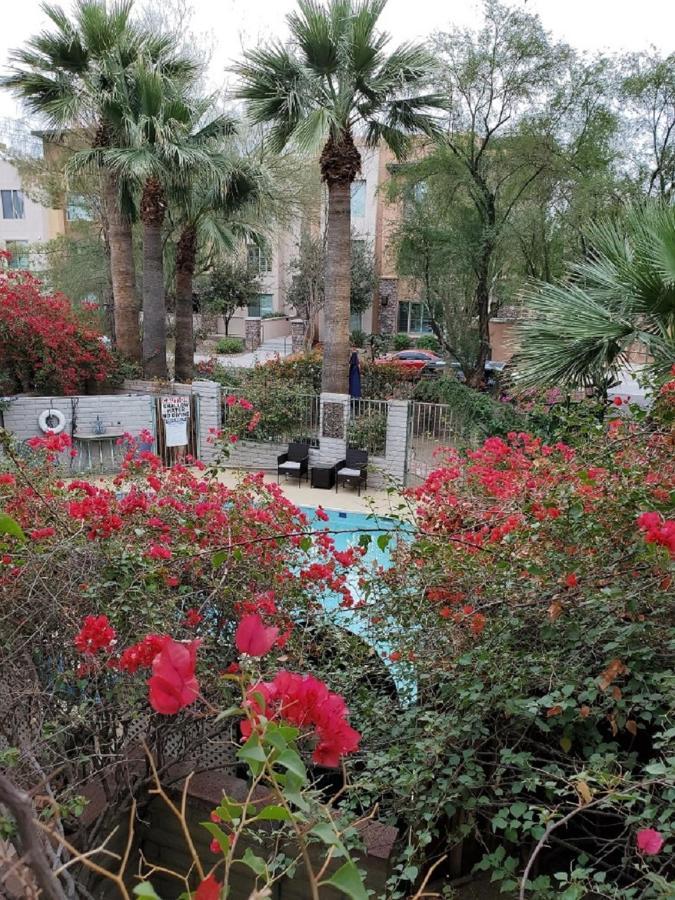 Desert Rose Villas - Private One Bedroom In Old Town Scottsdale Dış mekan fotoğraf